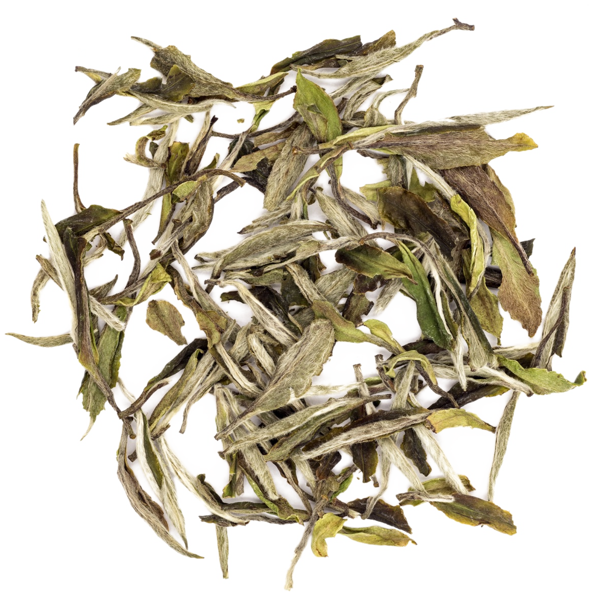 White peony tea